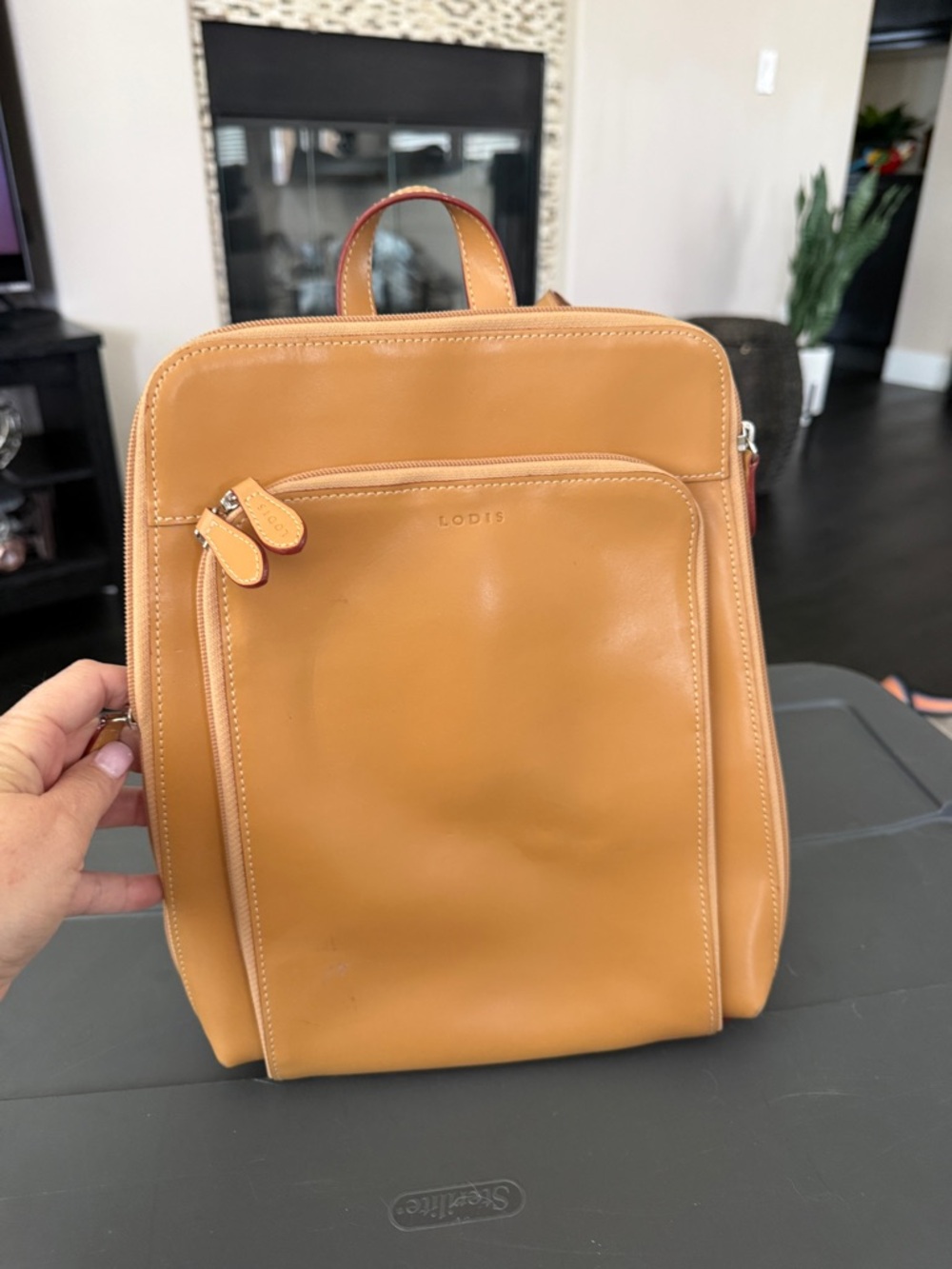 Lodis Chestnut Leather Backpack in Tan